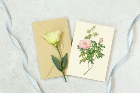 Elegant Pink Rose Clipart: Vintage Charm for Wedding Designs
