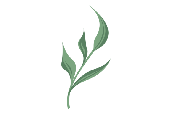Green Floral Elements: Elevate Wedding Décor & Design Assets